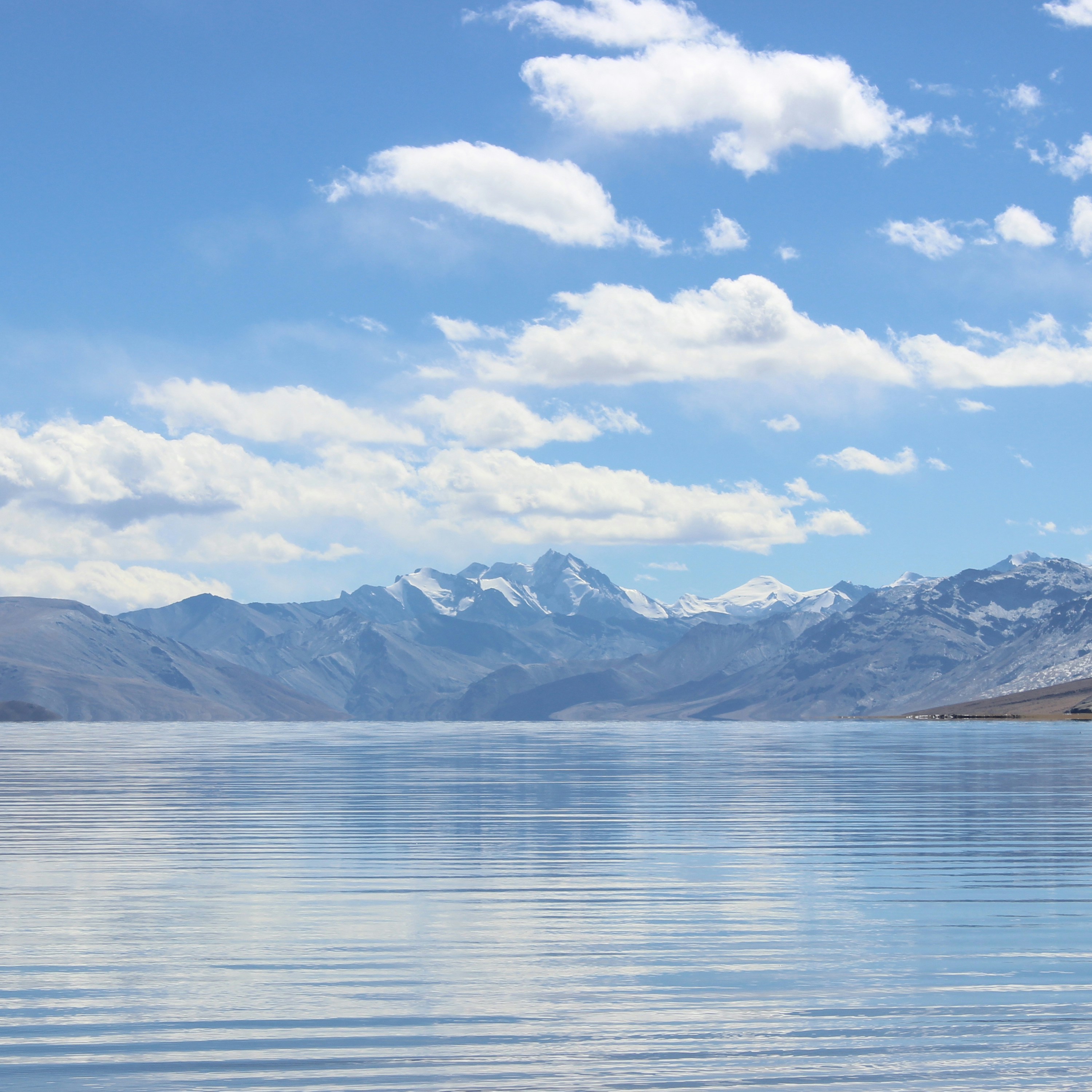 Photo by meet29_webex