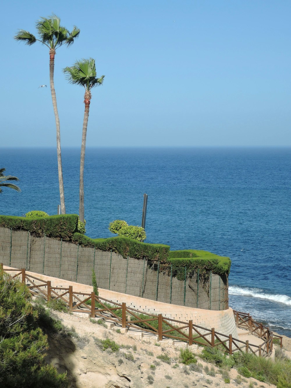 a view of a beach with a fence and palm trees
