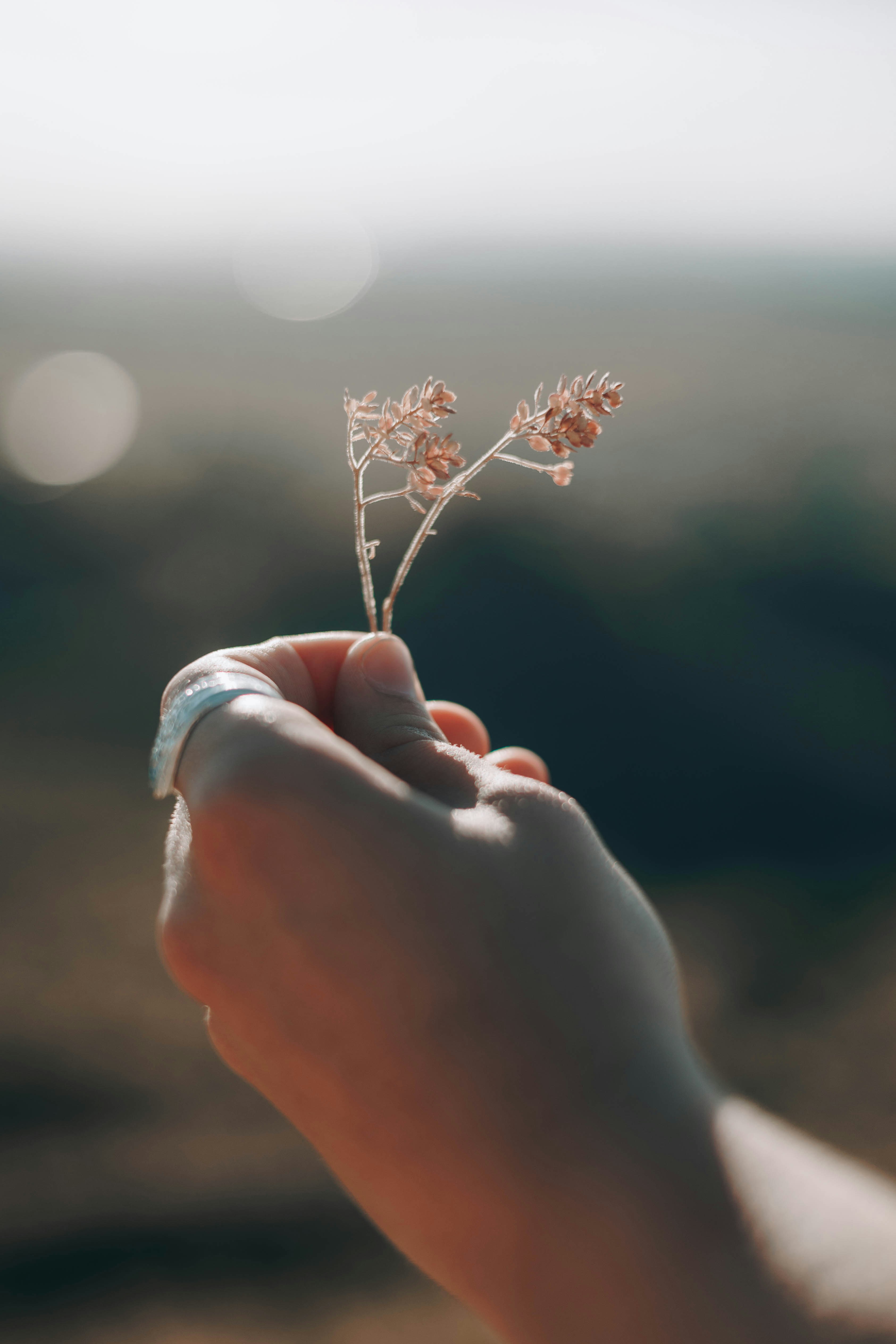 Photo by jeffersonsees