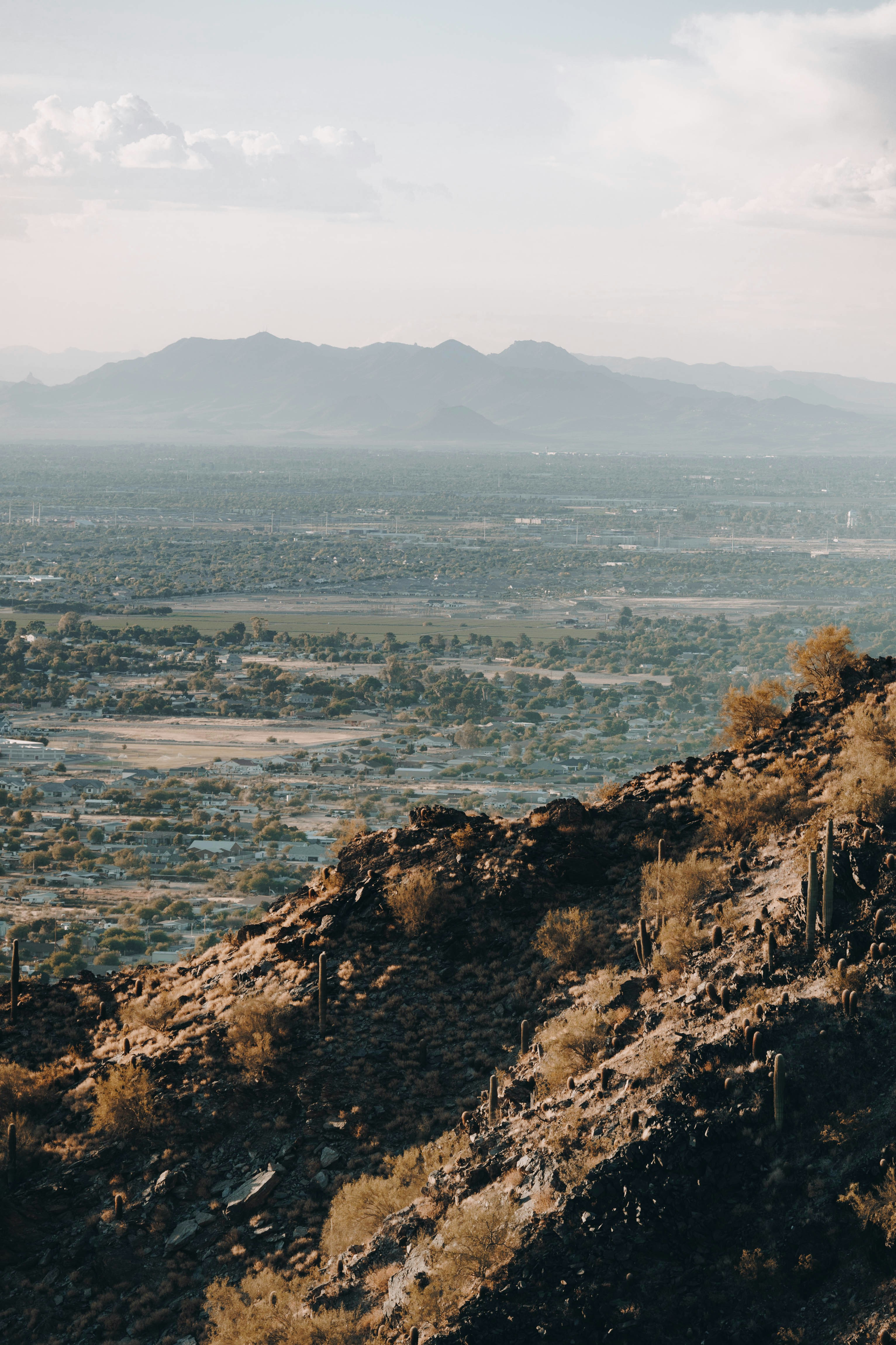 Photo by jeffersonsees