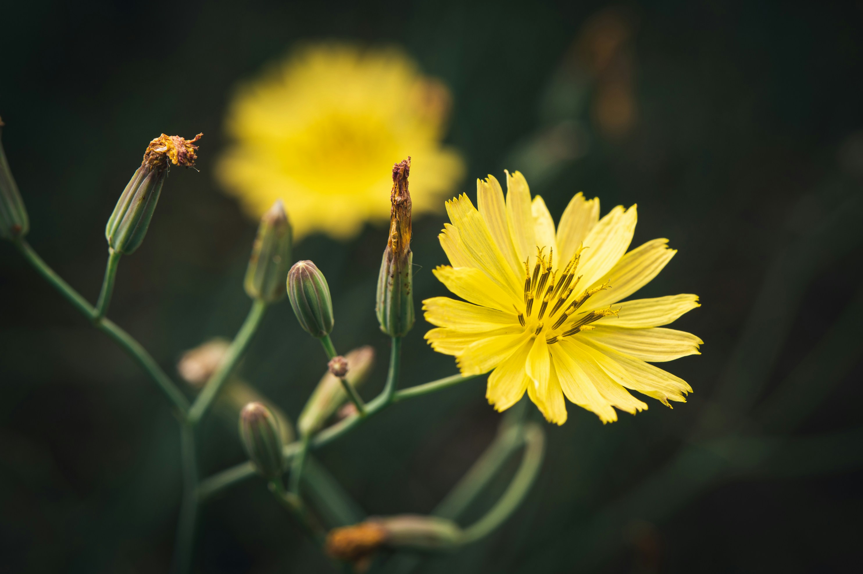 Photo by peek_a_boo_who