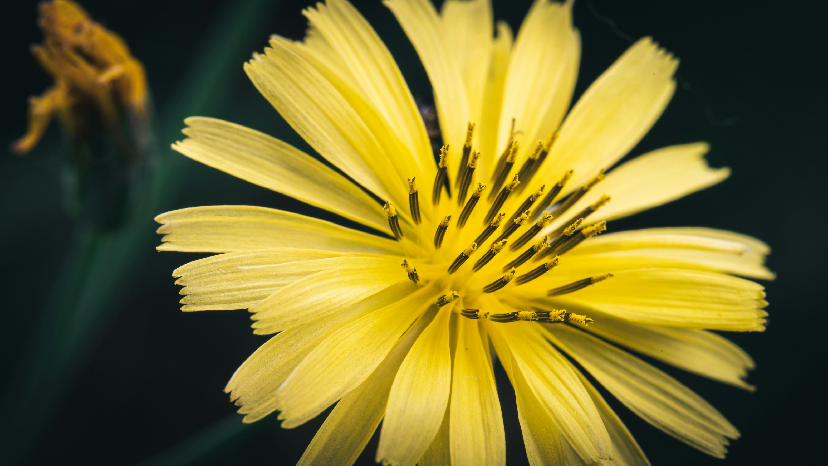 Photo by peek_a_boo_who