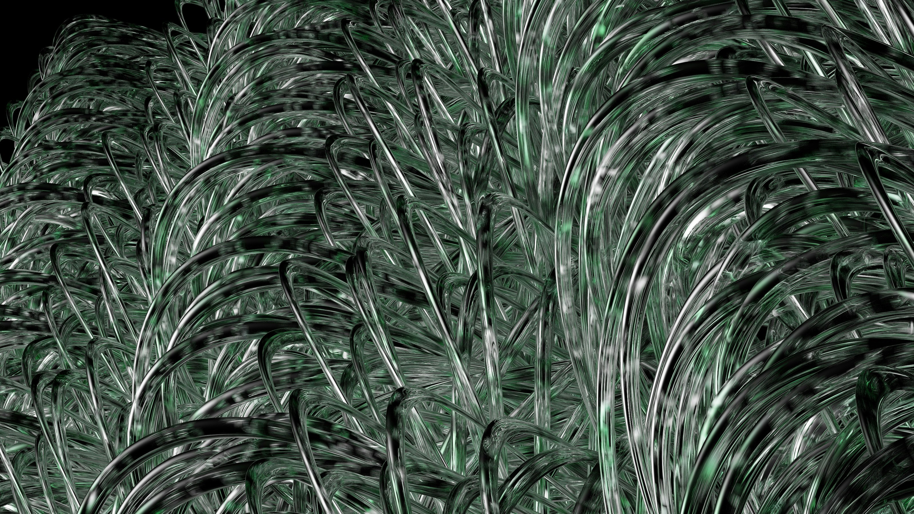 a close up of a bunch of green plants