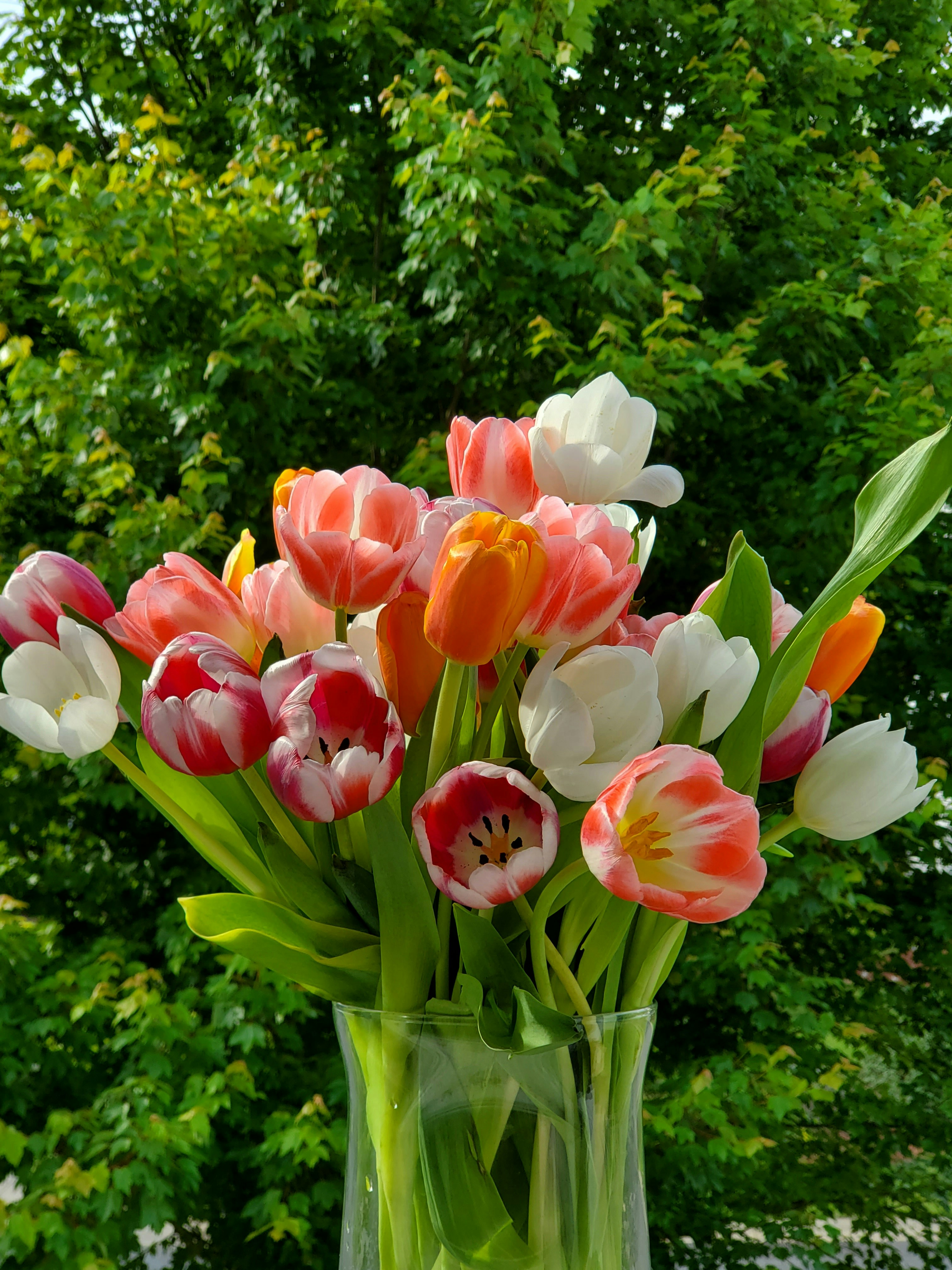 Photo by karolinabobek