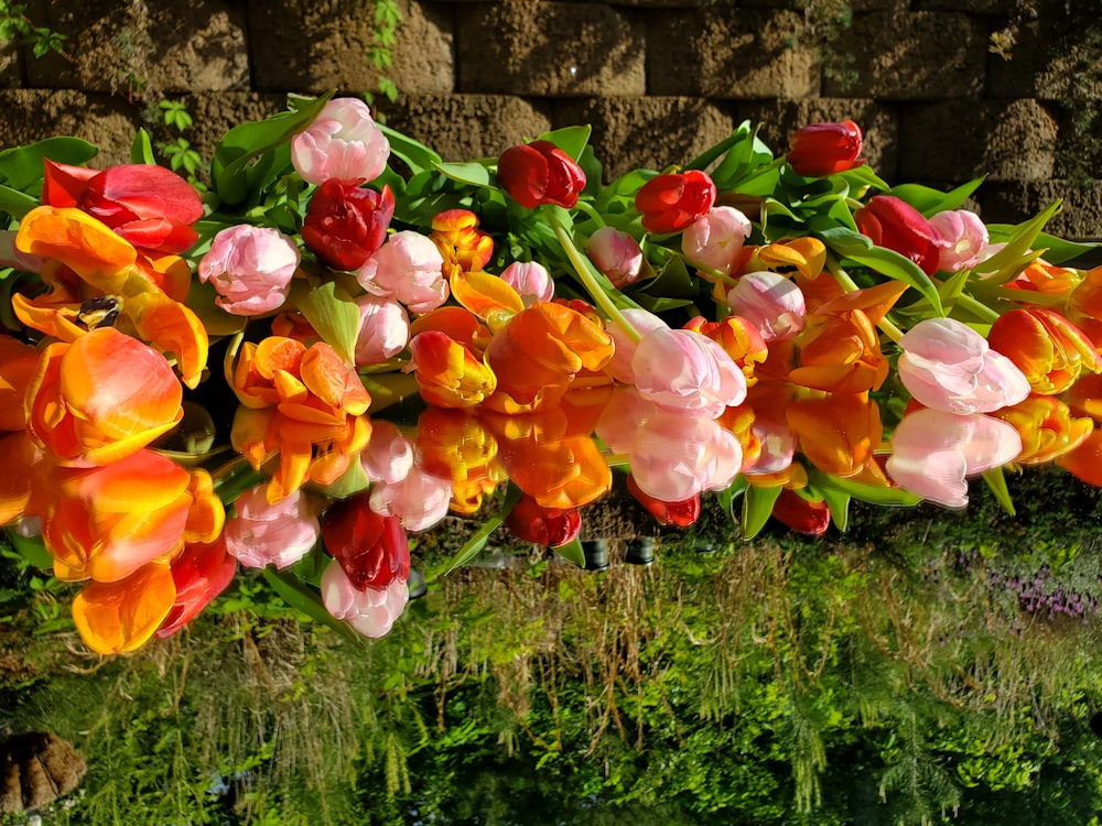 a bunch of flowers that are sitting in the grass