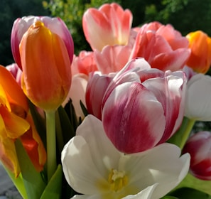 a vase filled with lots of different colored flowers