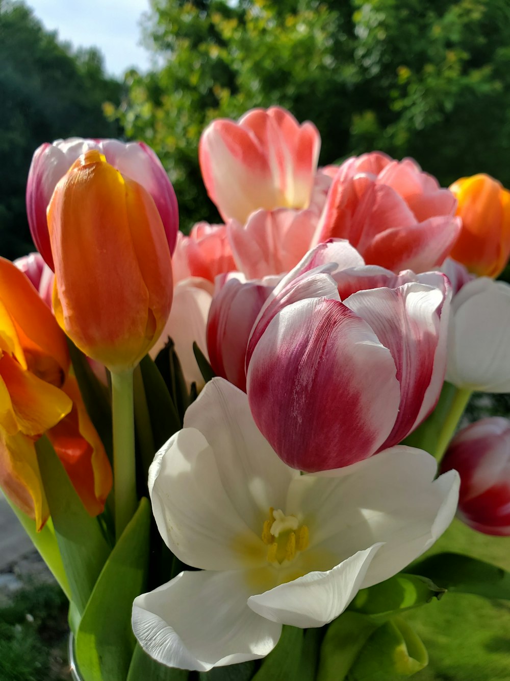 a vase filled with lots of different colored flowers