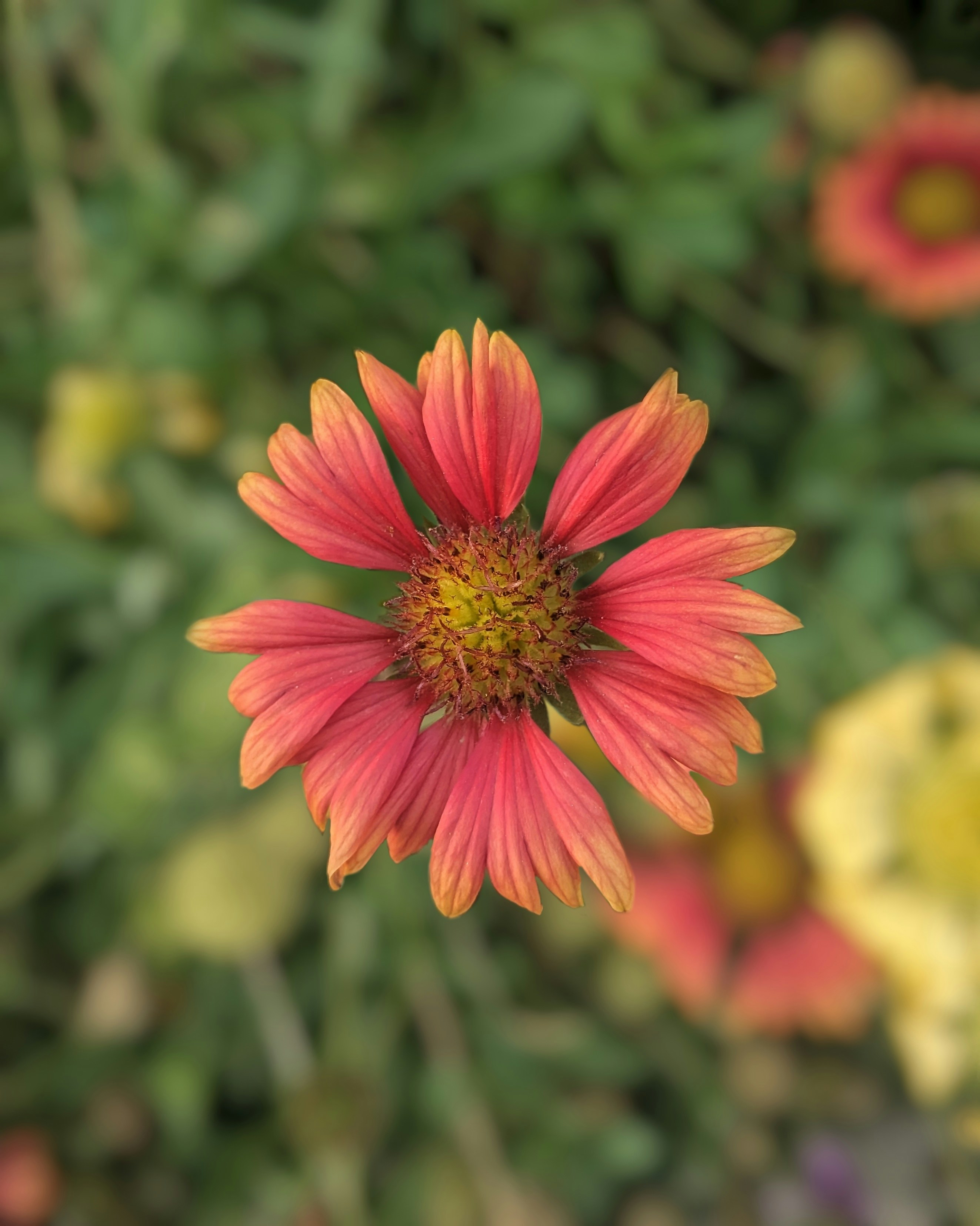 Photo by arif_zack_photography