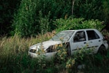a car that is sitting in the grass