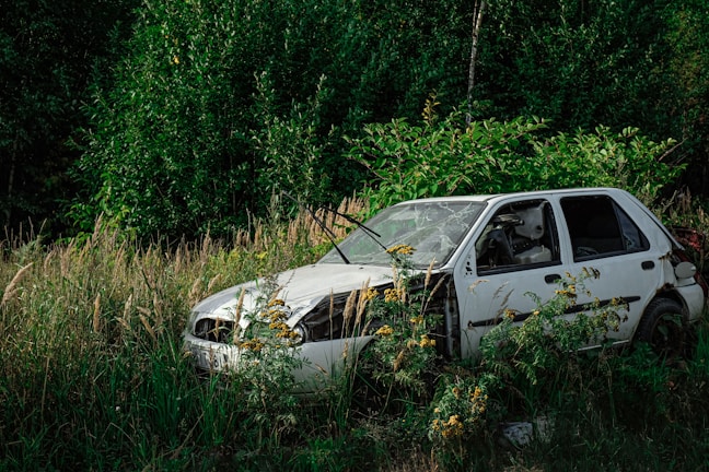 a car that is sitting in the grass