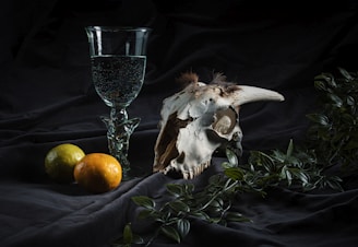 A still life composition featuring a glass goblet filled with a clear liquid, a large animal skull with a prominent horn and some hair remnants, two citrus fruits, and some leafy green vines. The elements are arranged on a dark, textured fabric that adds depth and contrast to the scene.