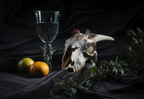 A still life composition featuring a glass goblet filled with a clear liquid, a large animal skull with a prominent horn and some hair remnants, two citrus fruits, and some leafy green vines. The elements are arranged on a dark, textured fabric that adds depth and contrast to the scene.