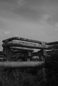 A monochrome photograph depicting a series of large, industrial pipelines supported by concrete structures. The pipes are weathered, with visible signs of rust and wear. Vegetation grows densely in the foreground, adding a natural element to the industrial setting. The sky is overcast, adding to the somber atmosphere.