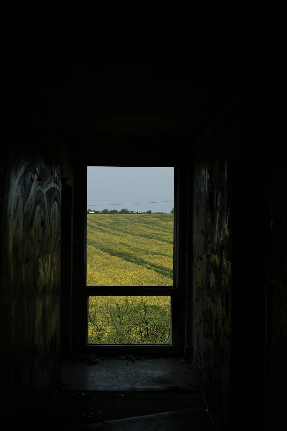 a dark room with a view of a field