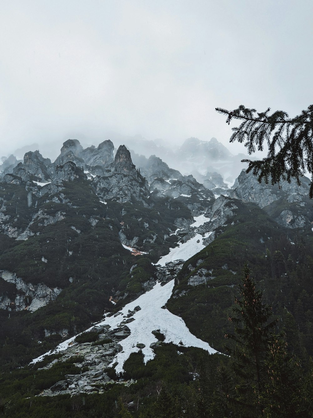 a mountain covered in snow and surrounded by trees