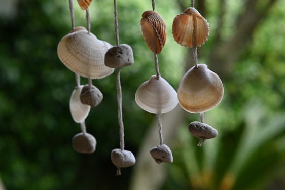 Hanging seashells and small stones are suspended on strings, set against a blurred green background, likely foliage. The shells are varied in color, including white and shades of brown, with different textures and sizes.