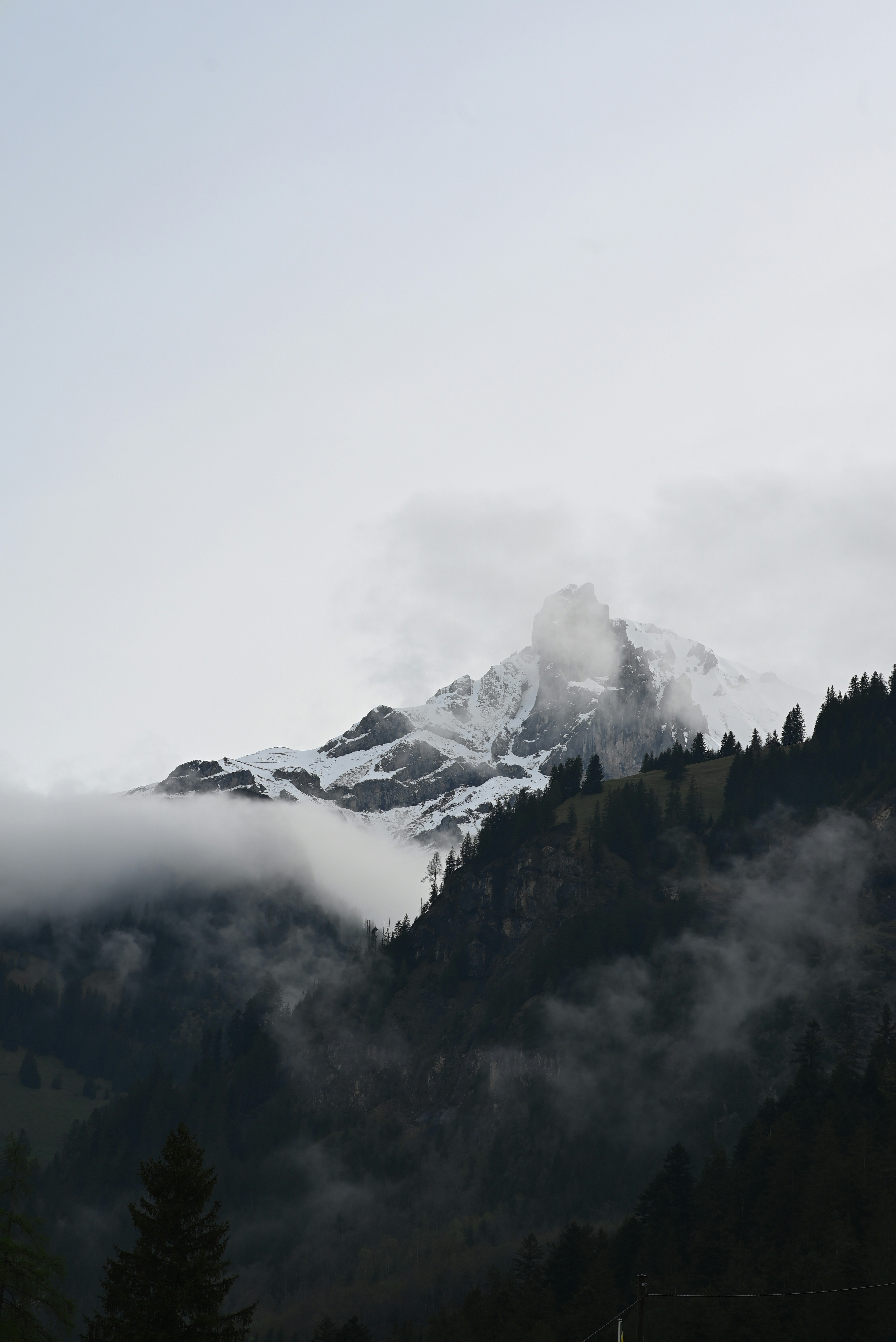 Photo by mortezakhalili