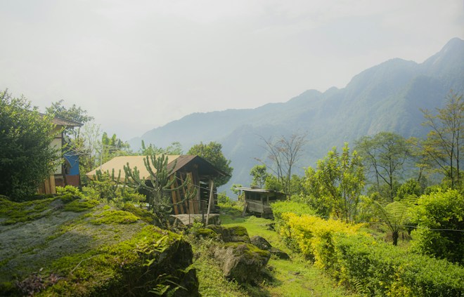 A serene rural landscape featuring a house surrounded by lush greenery, with a prominent cactus plant nearby. The background reveals misty mountains enveloped in soft light, creating a tranquil and picturesque scene.