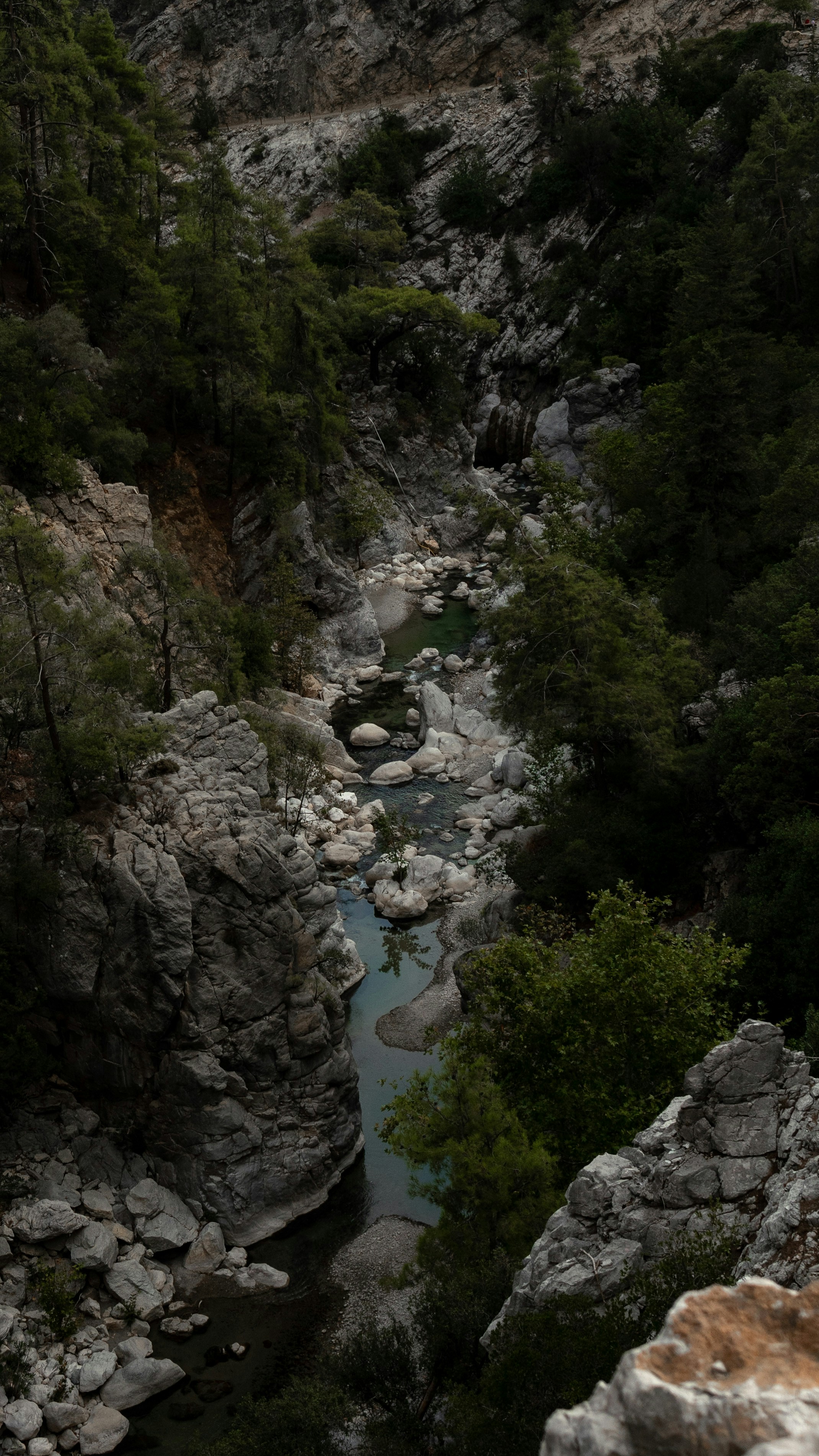 Photo by ilina_marii