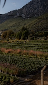 A sturdy agricultural fence enclosing a farm field in the Shenandoah Valley.