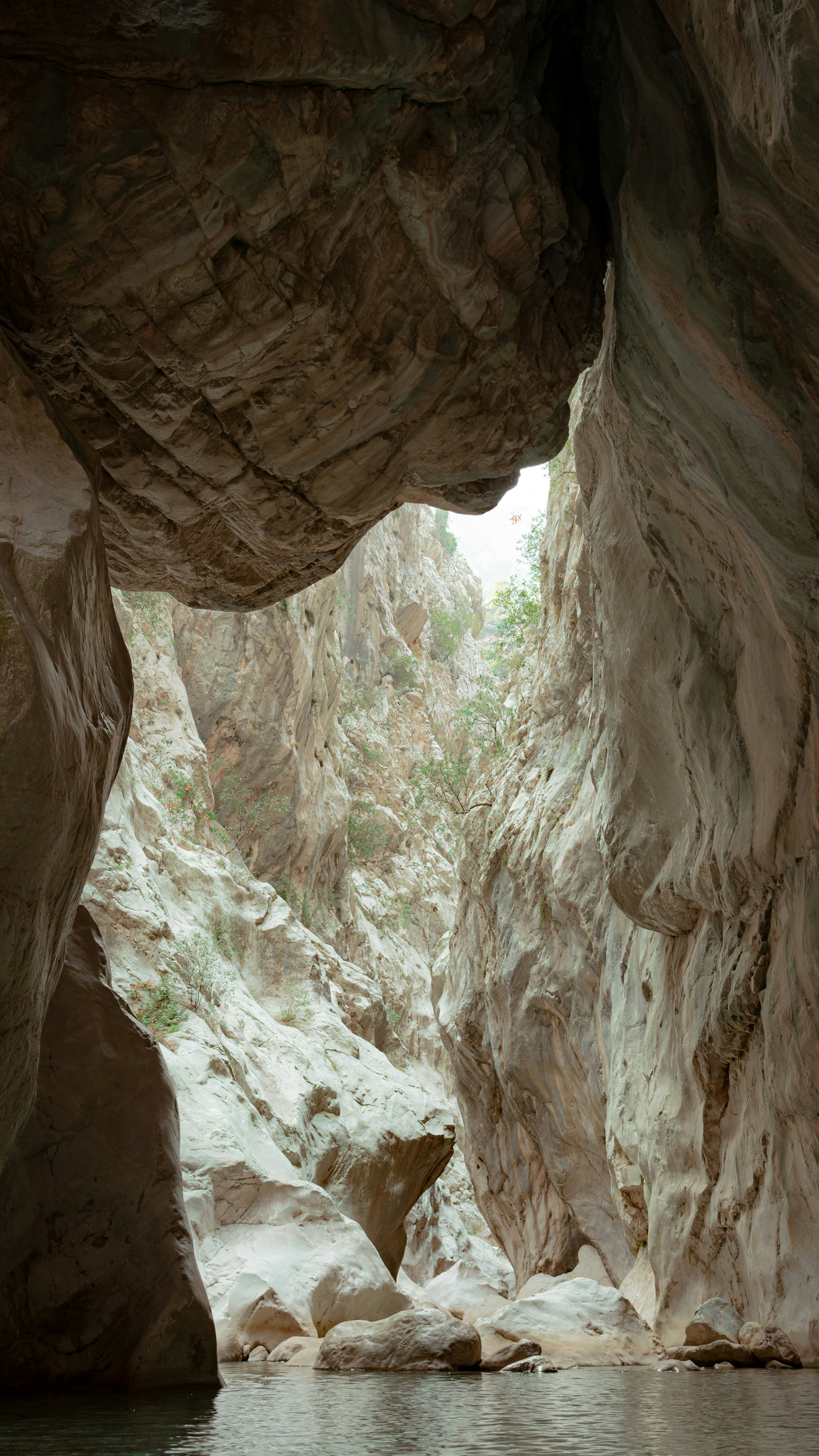 Photo by ilina_marii