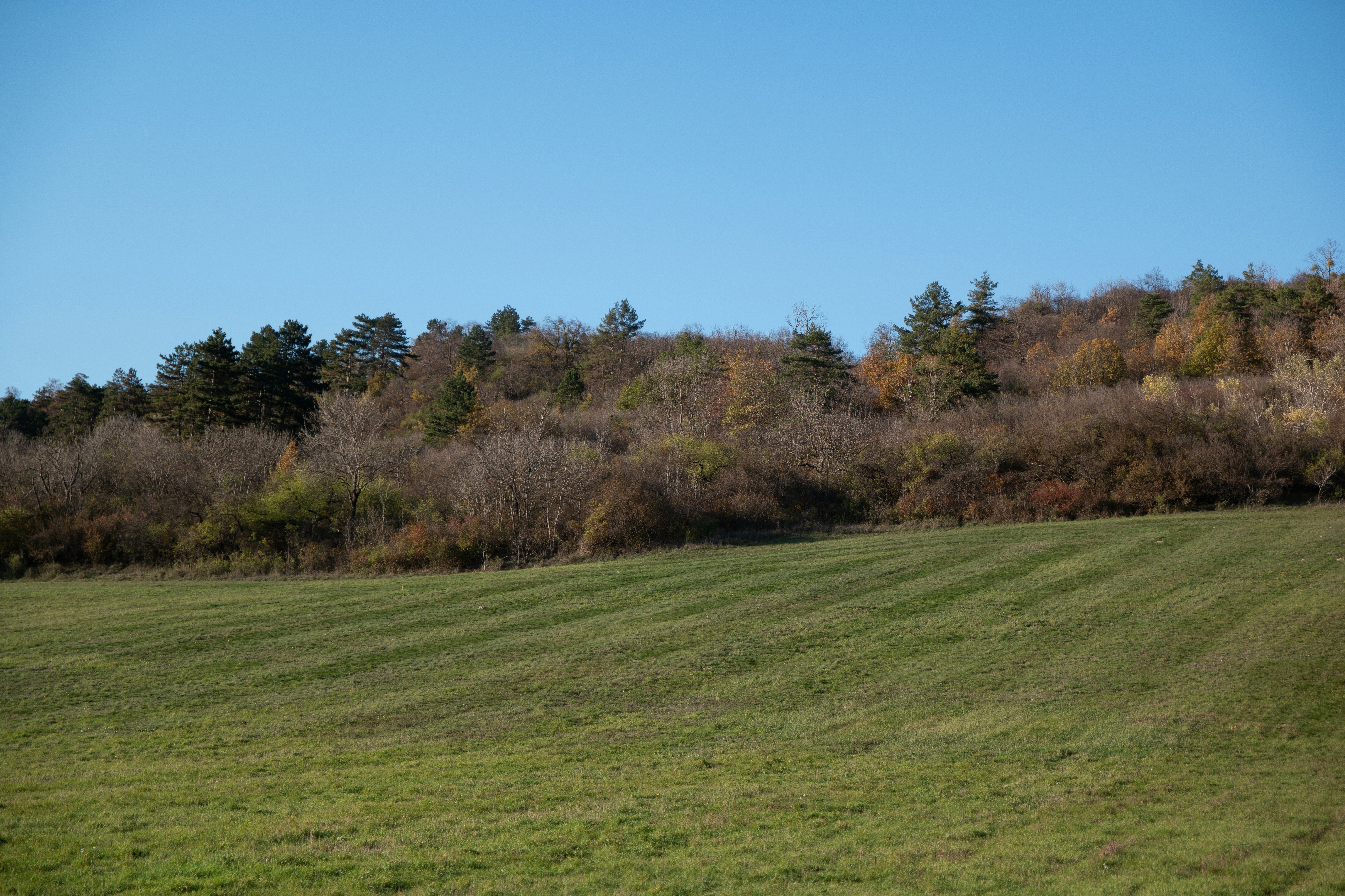 Photo by danielgumprecht