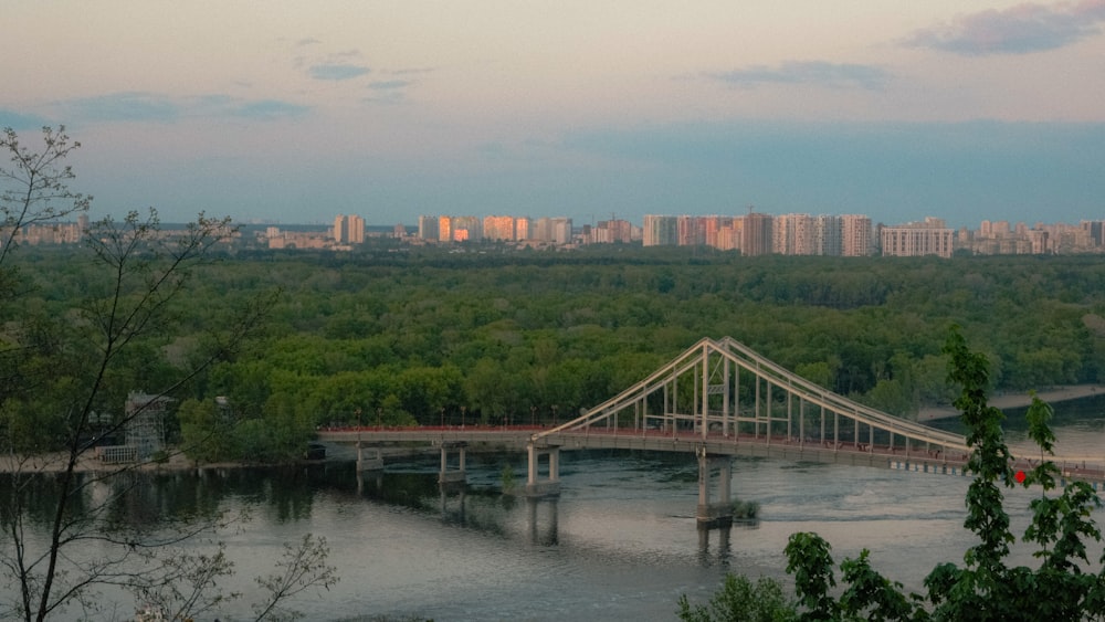 a bridge over a river with a city in the background