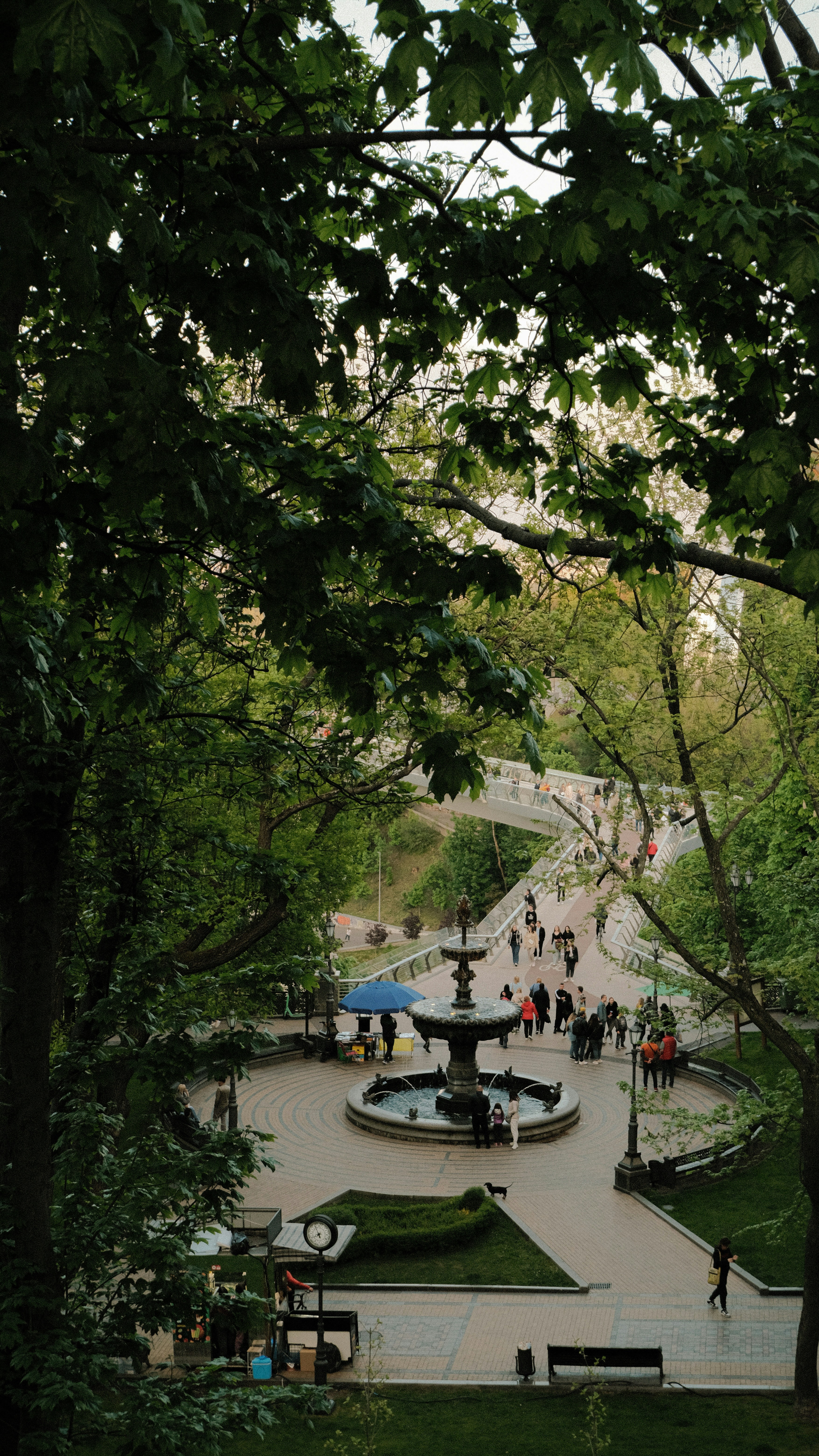 Photo by kmondschein