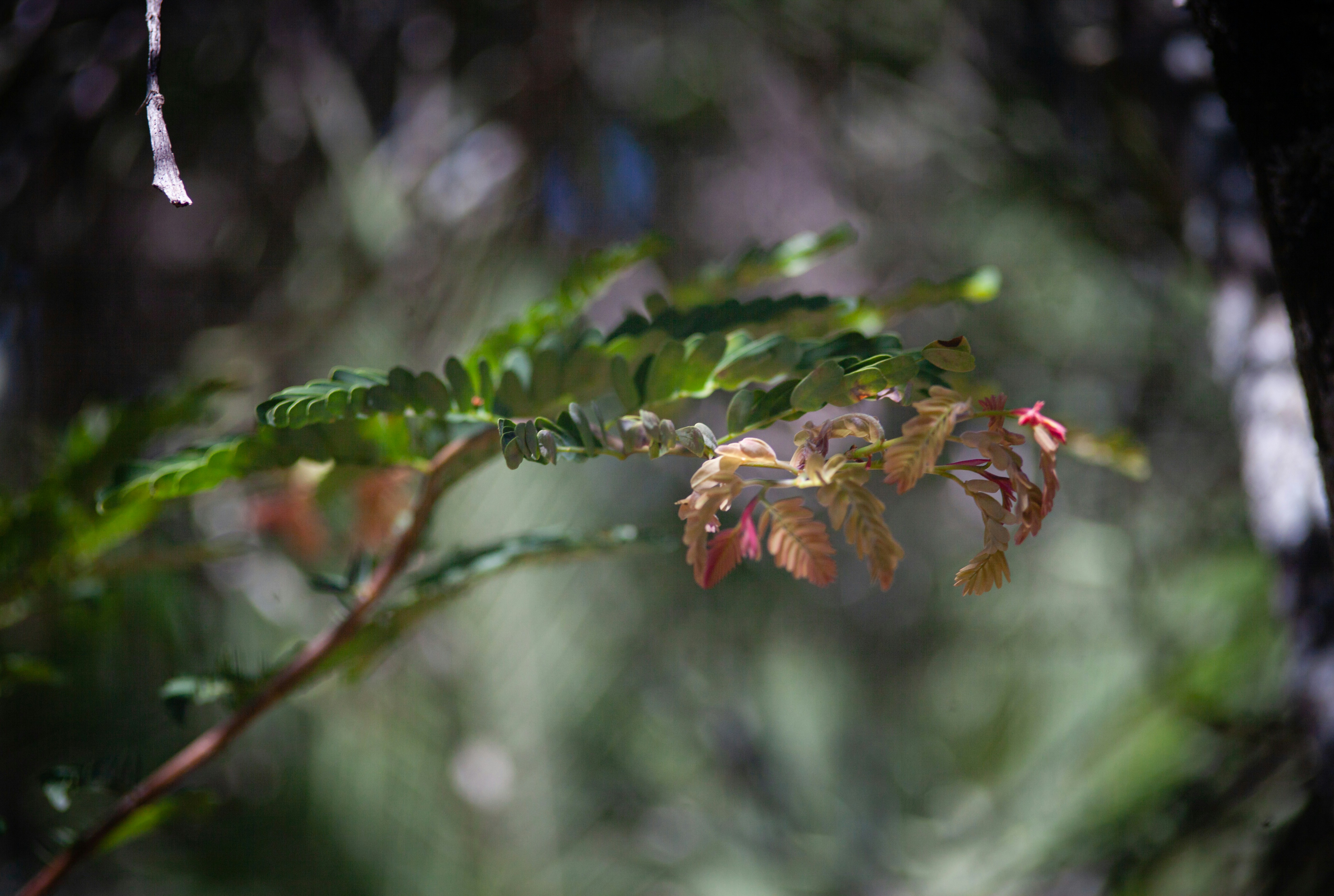 Photo by alekseyryan