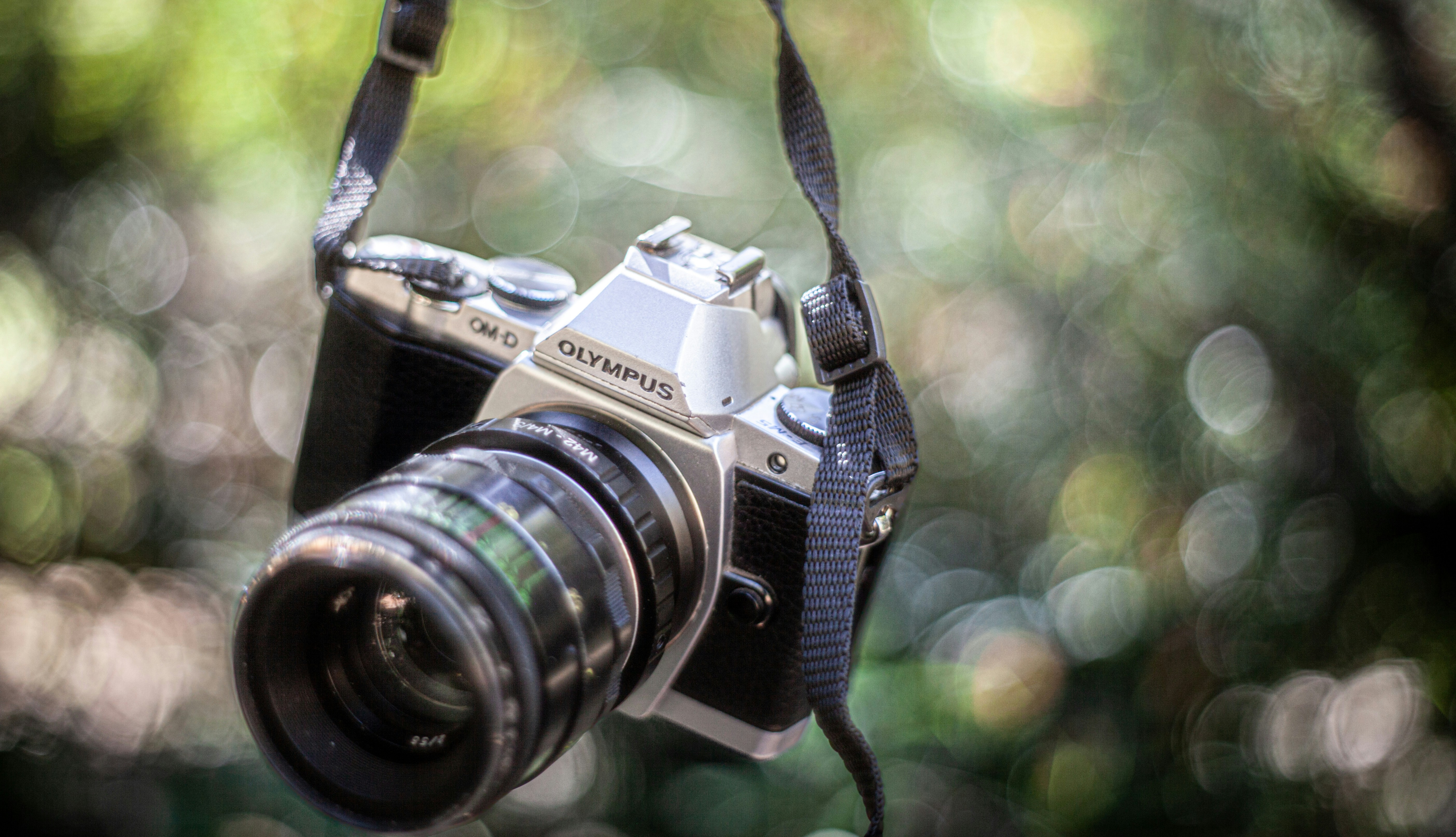 Photo by alekseyryan