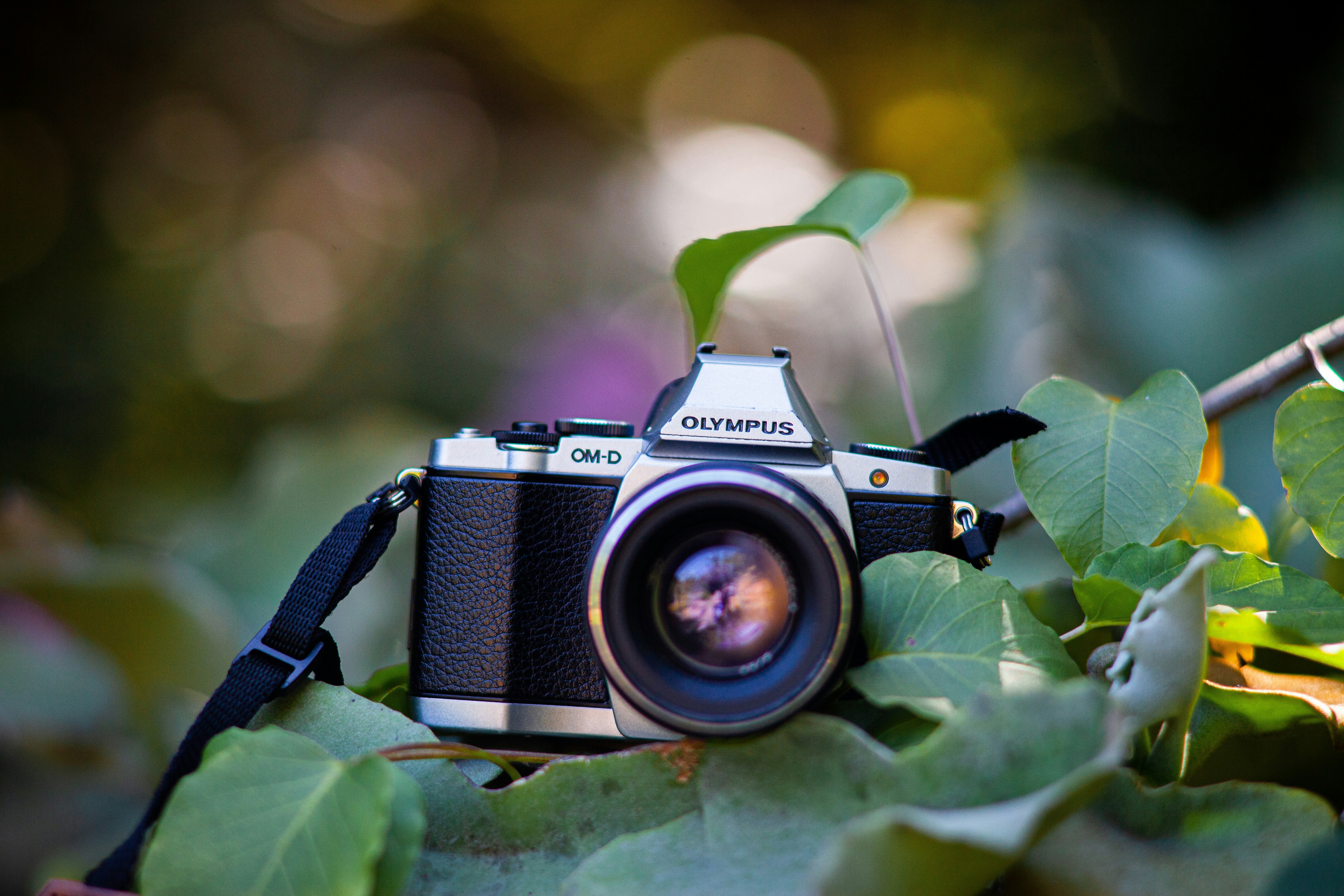 Photo by alekseyryan