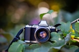 A vintage-style camera with a textured body and prominent lens is nestled among green leaves. The lens reflects light, adding a glimmer to its glass surface. Surrounding foliage creates a natural backdrop with soft-focus elements.