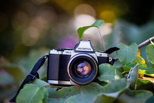 A vintage-style camera with a textured body and prominent lens is nestled among green leaves. The lens reflects light, adding a glimmer to its glass surface. Surrounding foliage creates a natural backdrop with soft-focus elements.