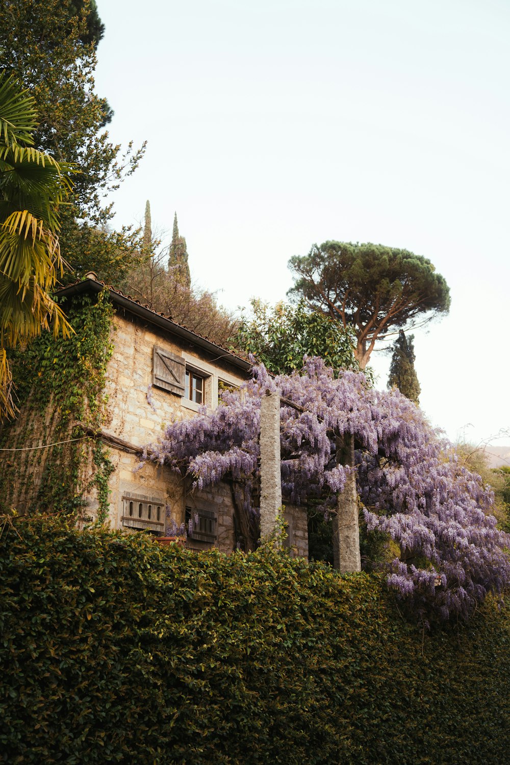 a house with purple flowers growing on the side of it