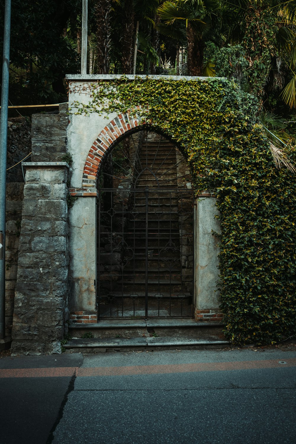 a gate with vines growing over it and a brick wall