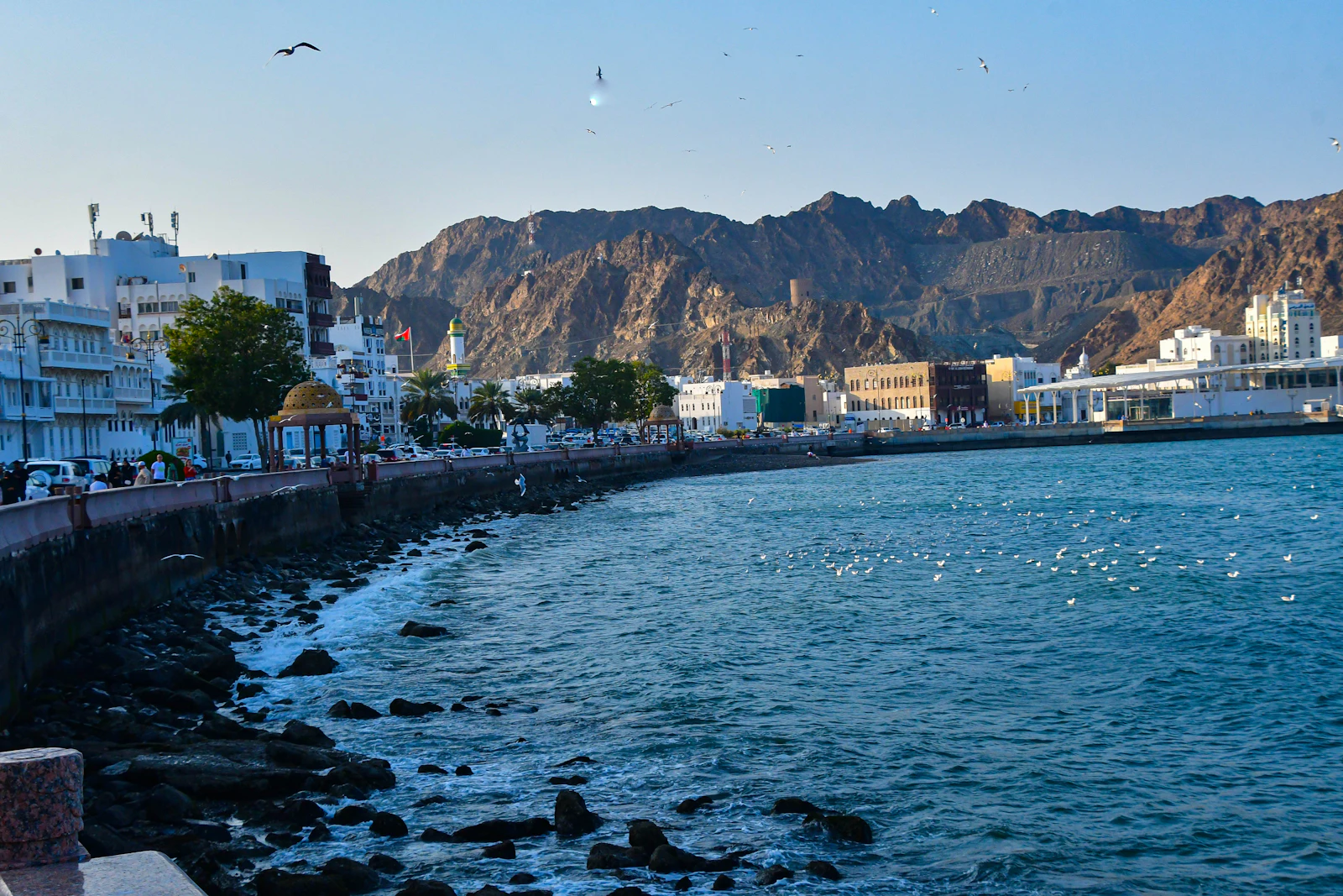 Muscat of Salalah: welke regio past bij uw plan?
