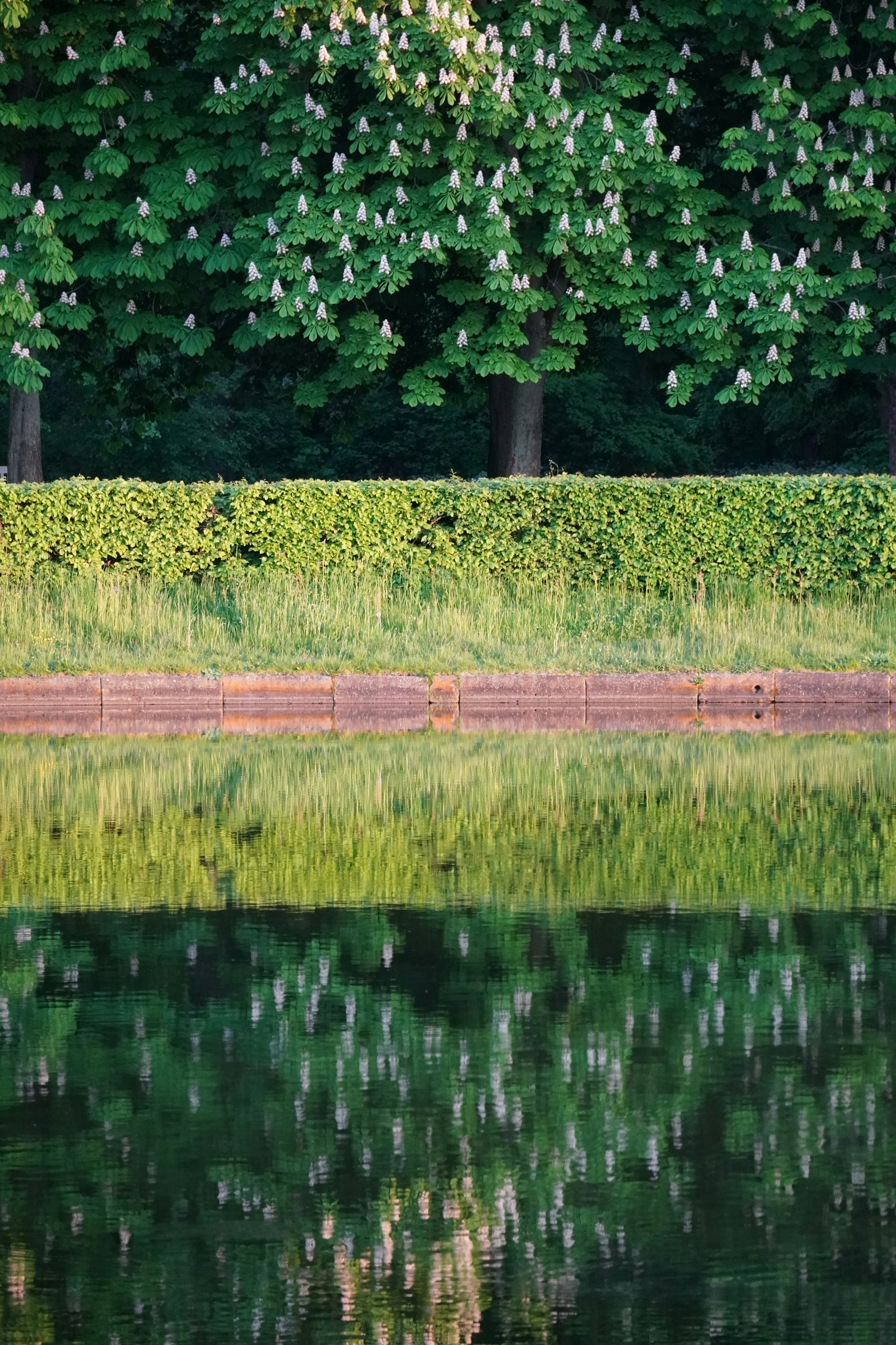 Photo by theodor_jacob