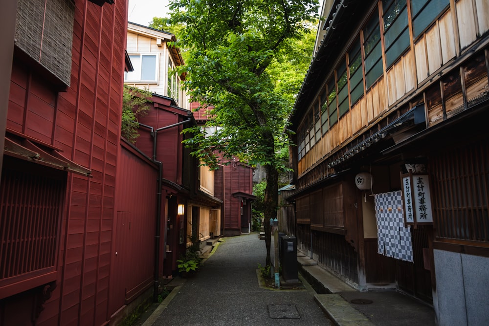 a narrow alley way with a tree in the middle