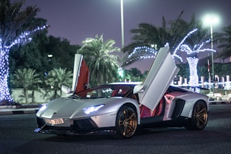 A sleek, silver sports car with its doors open is parked on the street at night. The car's design is modern and luxurious, with golden alloy wheels. Light from nearby streetlights and decorative lighting on palm trees illuminates the scene, contributing to a vibrant nighttime atmosphere. The surrounding area features several palm trees wrapped in string lights, adding to the exotic and luxurious setting.