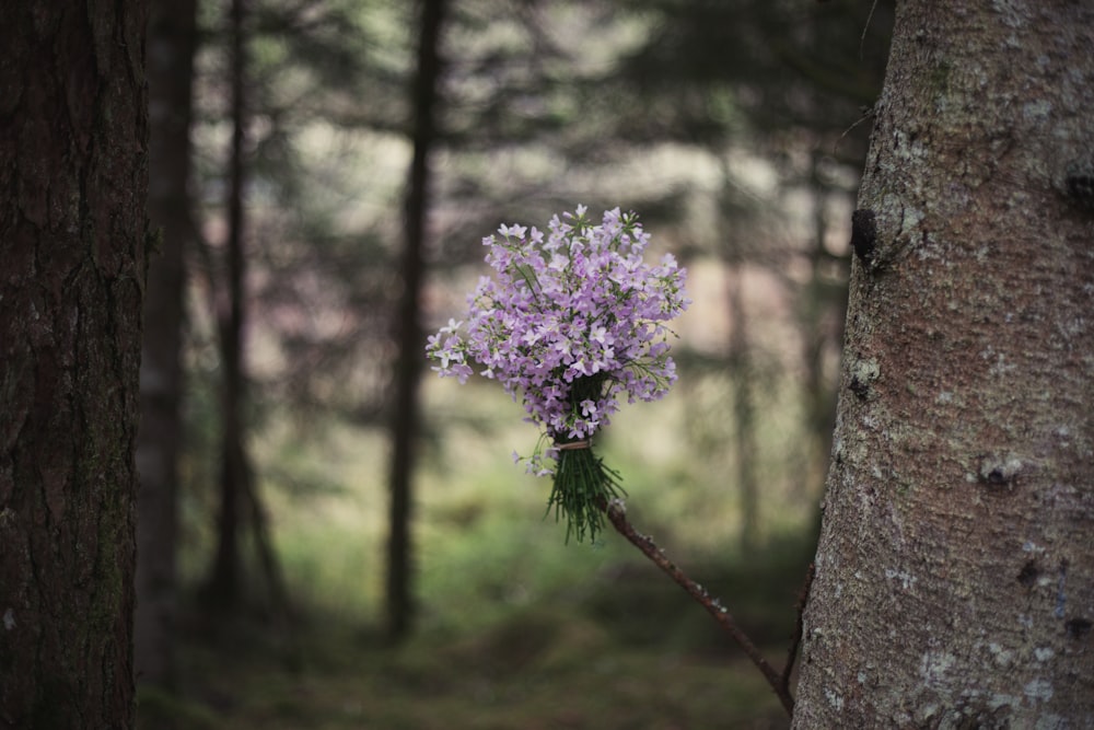a bouquet of purple flowers hanging from a tree