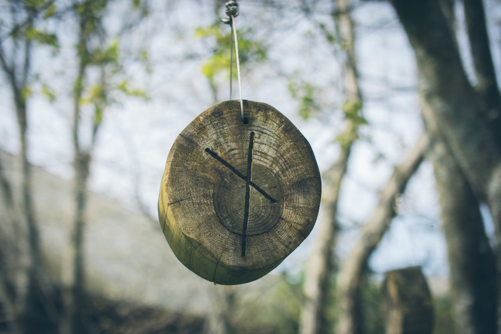 a clock hanging from a tree in a forest