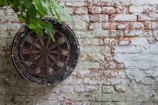 A dartboard is mounted on an old, weathered brick wall with peeling white paint. Above the dartboard, there are green leaves hanging down, suggesting an outdoor location or a place close to nature. The dartboard shows visible wear, indicating frequent use.