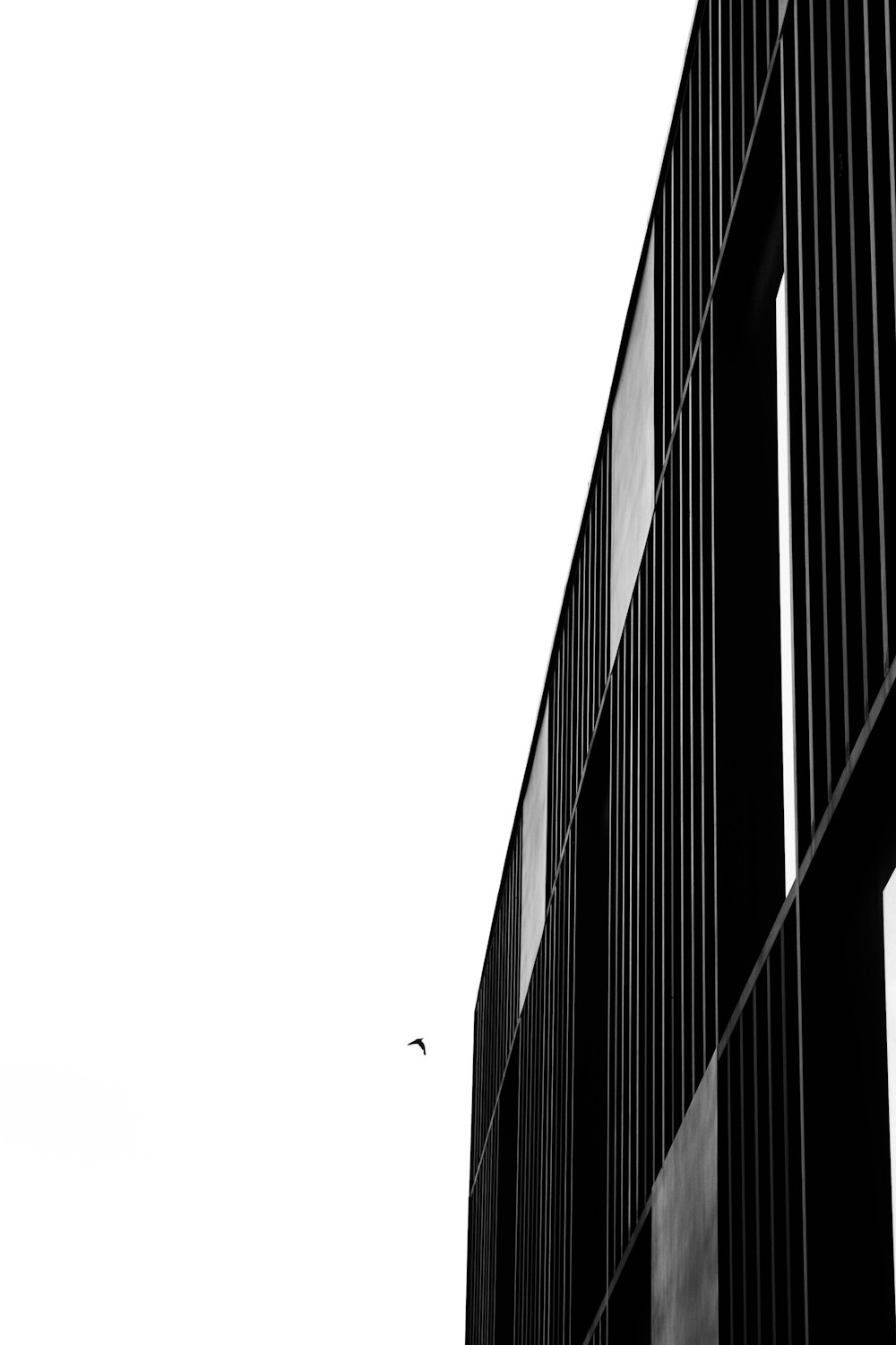 a black and white photo of a bird flying over a building