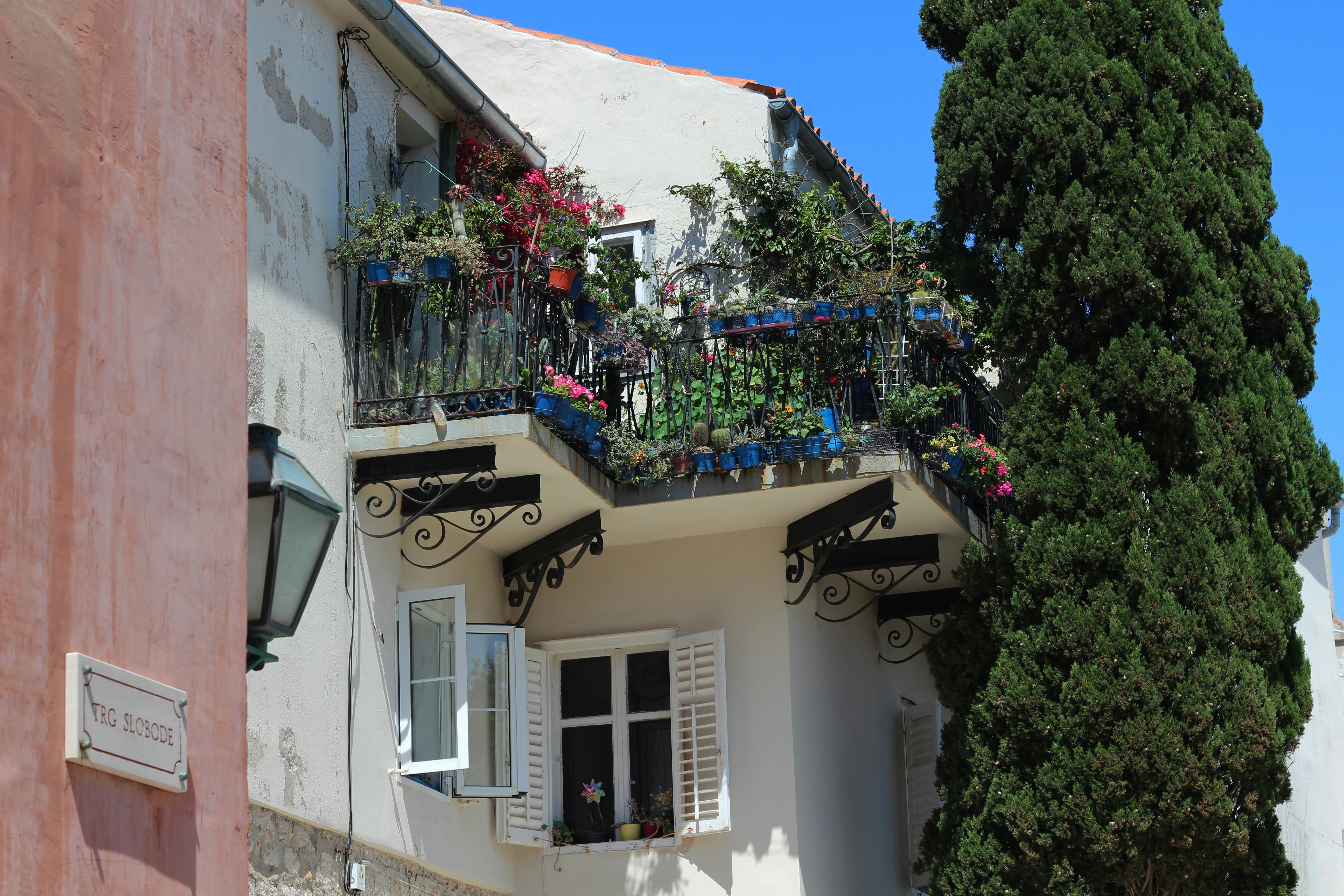 Photo by y5knpsqyznny1eih