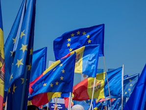 A collection of blue flags, prominently featuring the European Union star circle design, amidst others, some of which incorporate red and yellow with a central coat of arms. The flags are waving together under a clear blue sky.