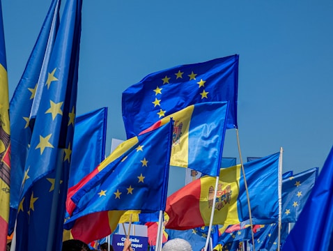 A collection of blue flags, prominently featuring the European Union star circle design, amidst others, some of which incorporate red and yellow with a central coat of arms. The flags are waving together under a clear blue sky.