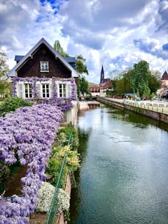 Conciergerie Airbnb Strasbourg 