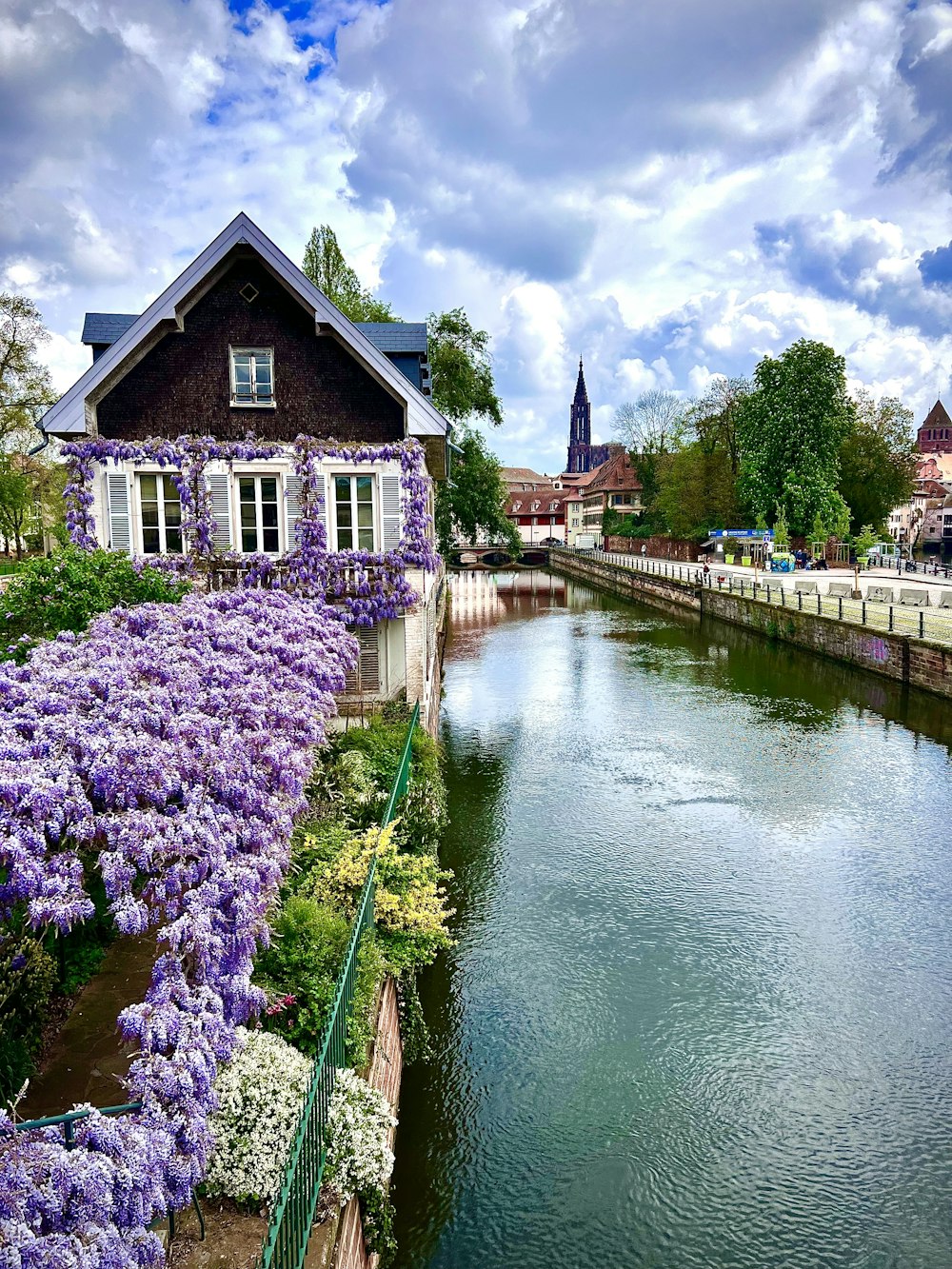 lila Blumen säumen die Seite eines Flusses