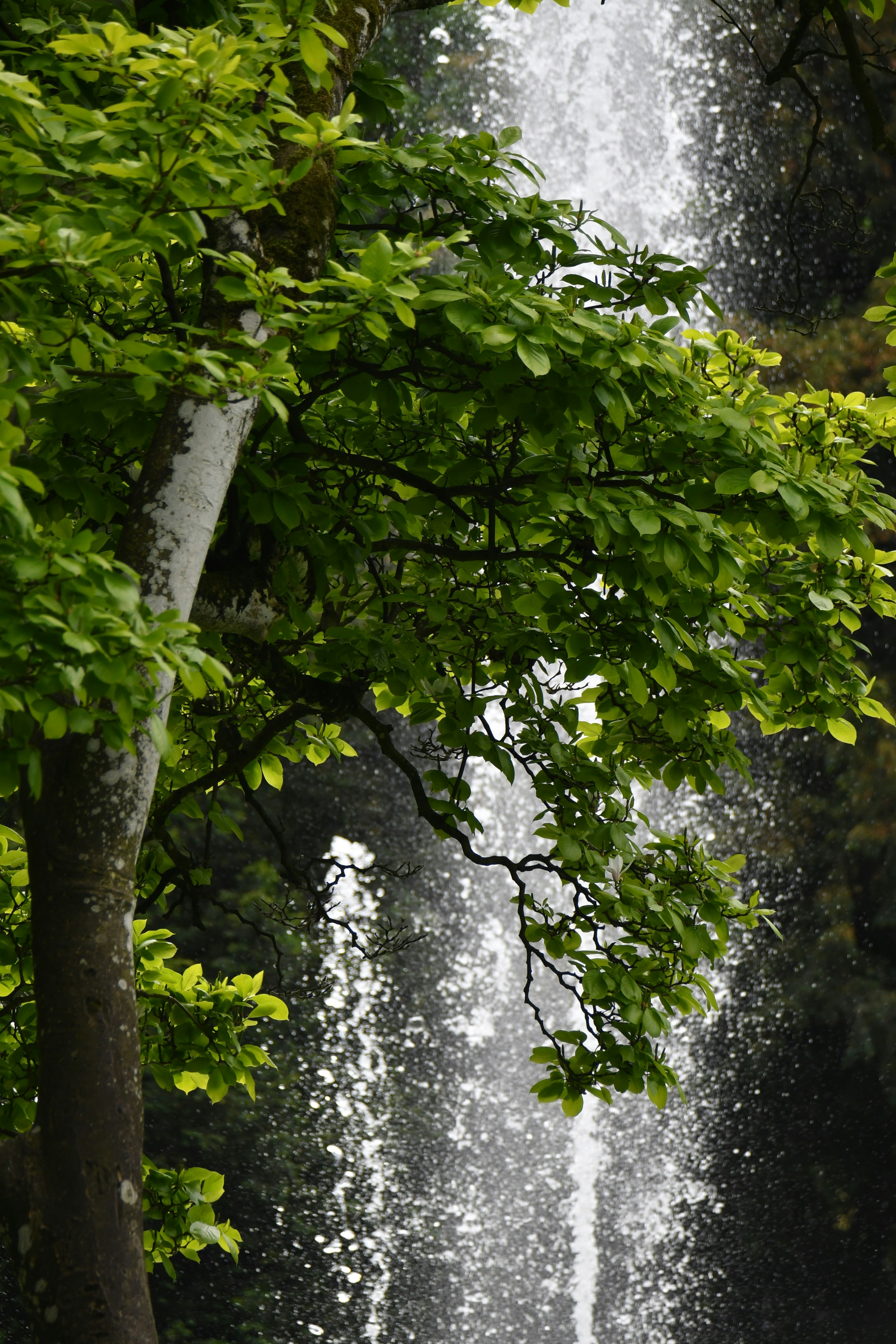 Photo by pedrino5_official