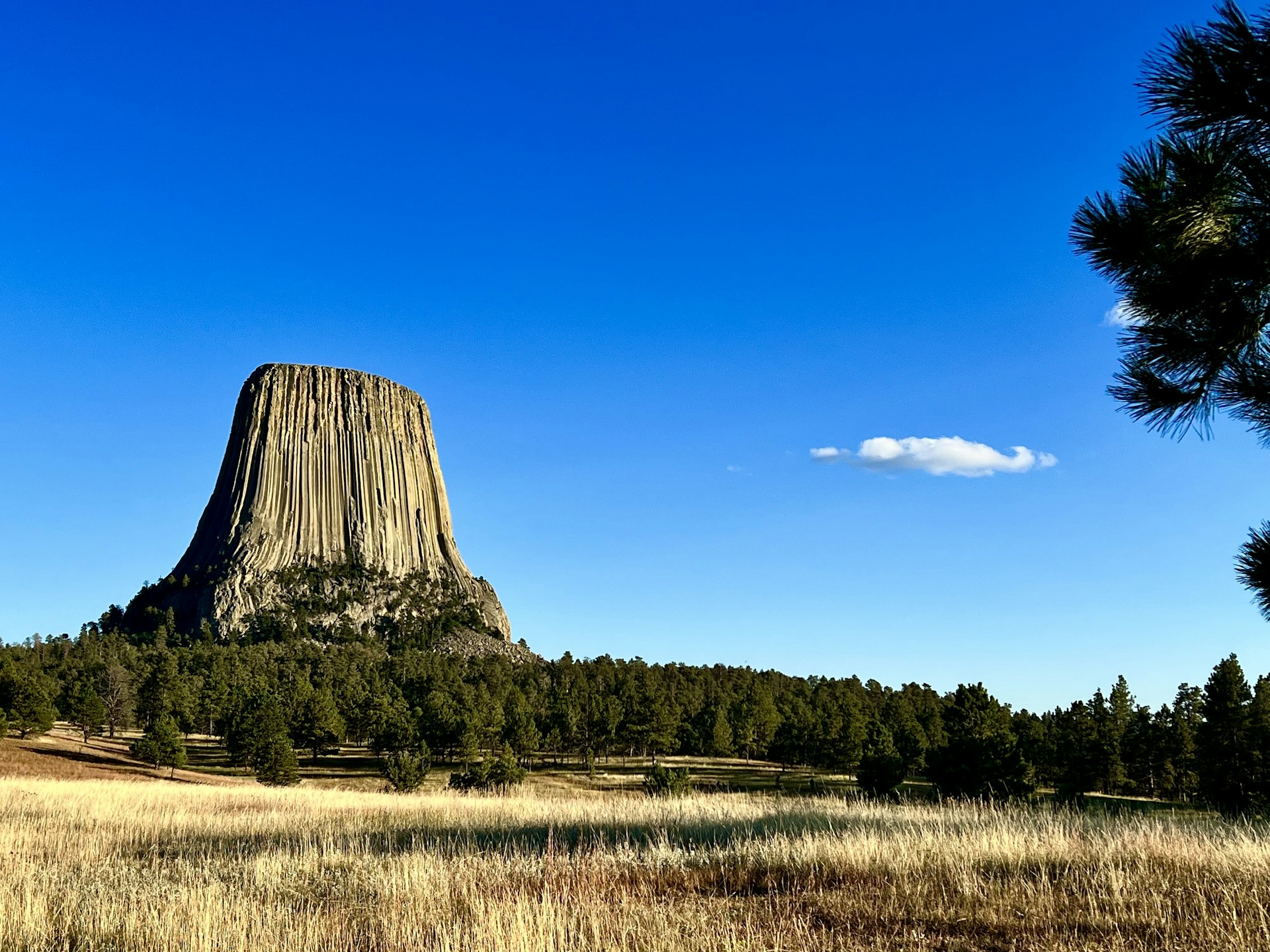 a tall mountain towering over a lush green forest
